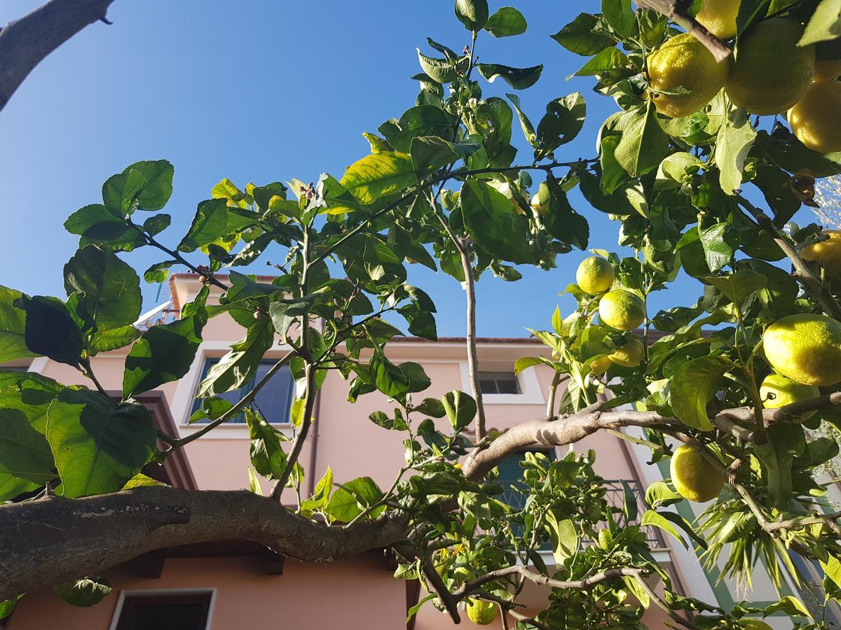 فندق La Casa Di Paolo Casa Di Charme مارينا دي كاميروتا المظهر الخارجي الصورة